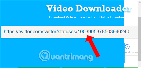 Dán URL video vào Download Twitter Videos