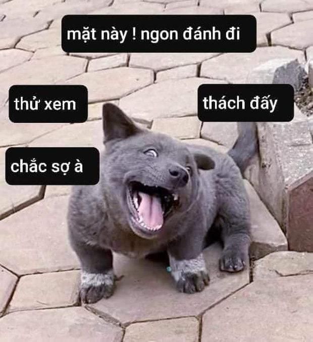 Hinh CMT 16*111533