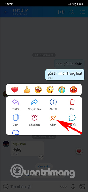 Ghim tin nhắn