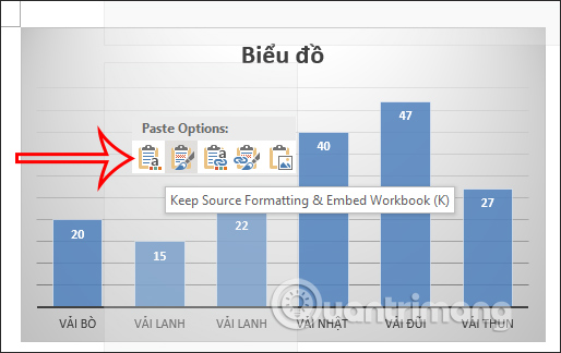 Paste Options Excel